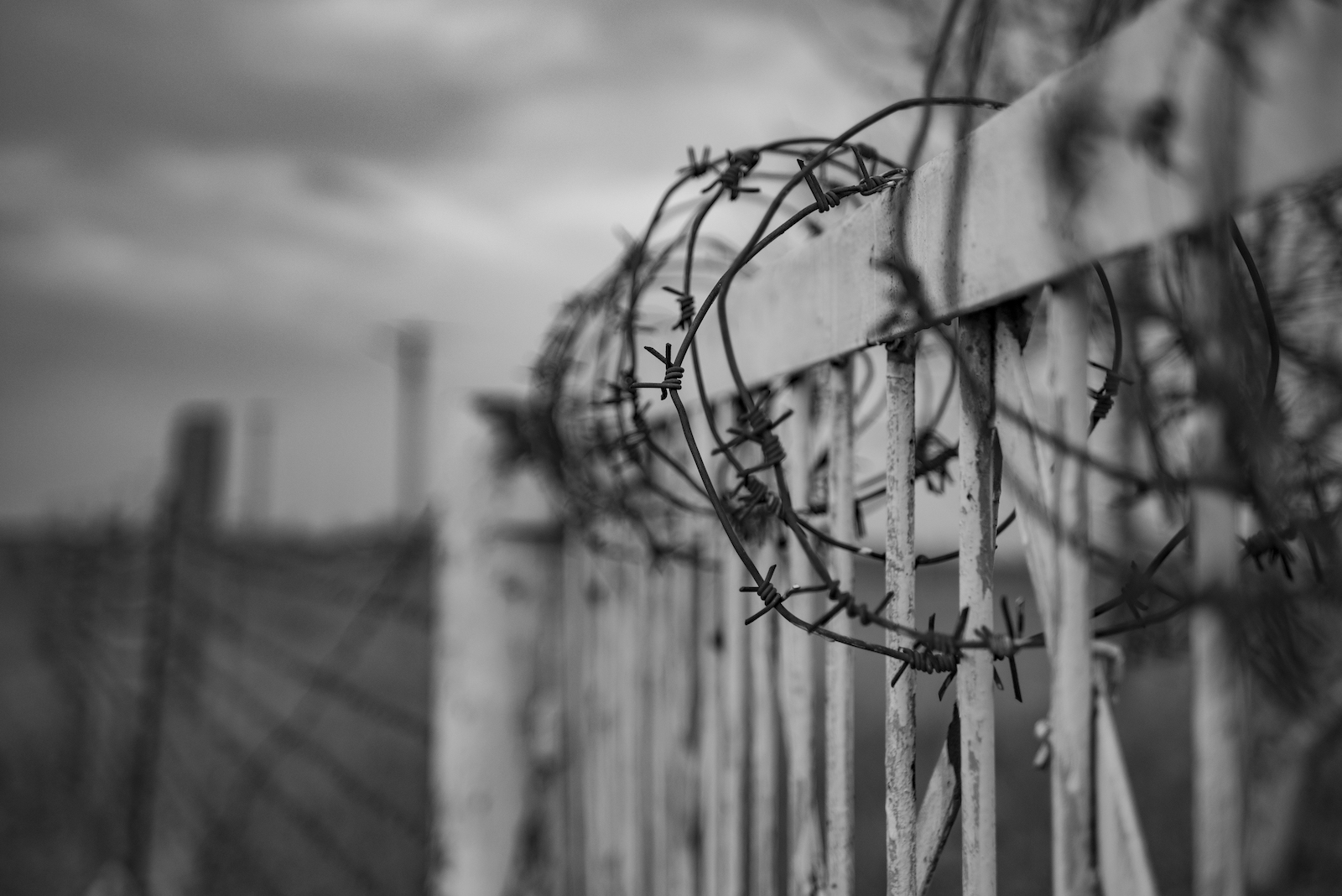 Pobyt w zakładzie karnym a lokatorskie prawo do lokalu mieszkalnego – czy można przekazać rodzinie?
